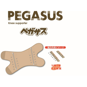 膝サポーター　ペガサス ベージュM