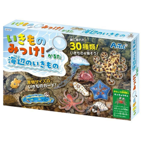 いきものみっけ!かるた うみべのいきもの 21657