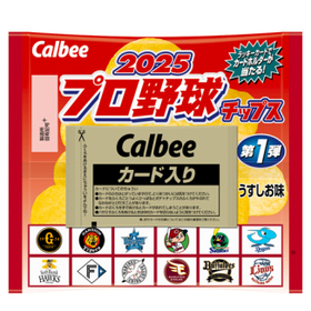 ２０２５プロ野球チップス　うすしお味 22g 【お菓子】