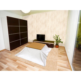 コタツ上掛け グラーツ(GRAZ)　190cm&times;240cm BE