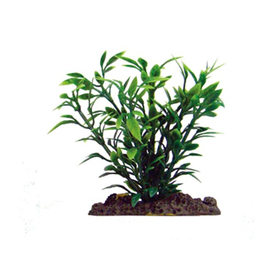 マルカン　ニッソー　アクアティックプランツ　ＳＳ－４ NAP-3