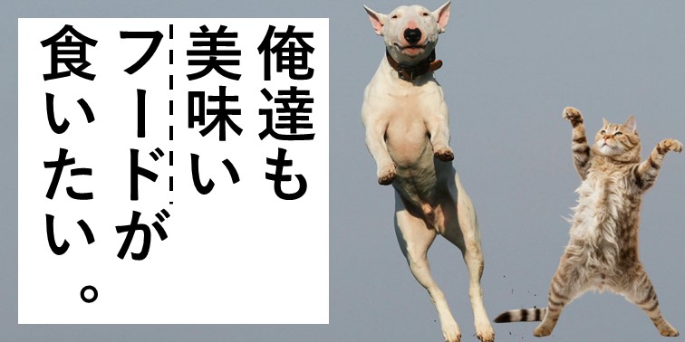 ペットフード特集