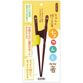 ちゃんと箸　こども用　16.5cm　右利き用 【カトラリー】