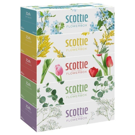 スコッティ ティシュー フラワーボックス 500枚（250組）&times;