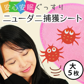 ニューダニ捕獲シート　(大5枚セット)