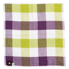 プリスAg+ Ａｇ+ふきんチェック(約34ｃｍｘ34ｃｍ) グリ