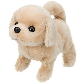 あかちゃん　レトリバー