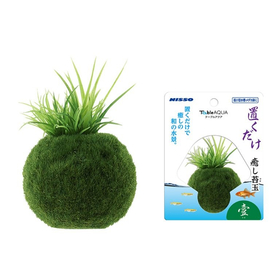 マルカン　ニッソー　テーブルアクア置くだけ癒苔玉　壹 NAP-5