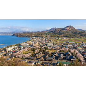 伊達市　自家消費型太陽光発電で電気代最大29％削減！