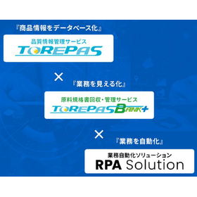 Quality Information Management Support Service "TOREPAS on DAP"