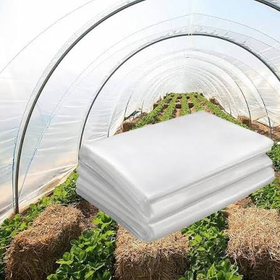 Greenhouse anti-fog film market: $6...