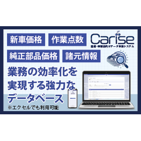 Carise Data Search System