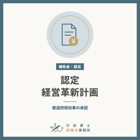 Application for Approval of a Management Innovation Plan