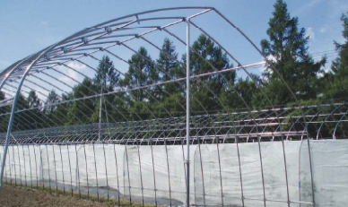 組立式ハウス補助支柱『ツッパリ』