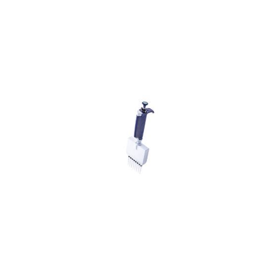 メイン.png