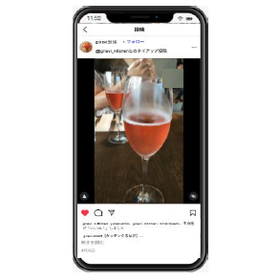 Gourmet-focused influencer matching service