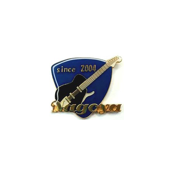 pins_guitar.jpg