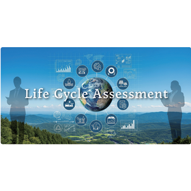 LCA Consulting Services