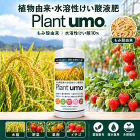 植物由来けい酸液肥「Plant umo」｜水稲・野菜・果樹向け