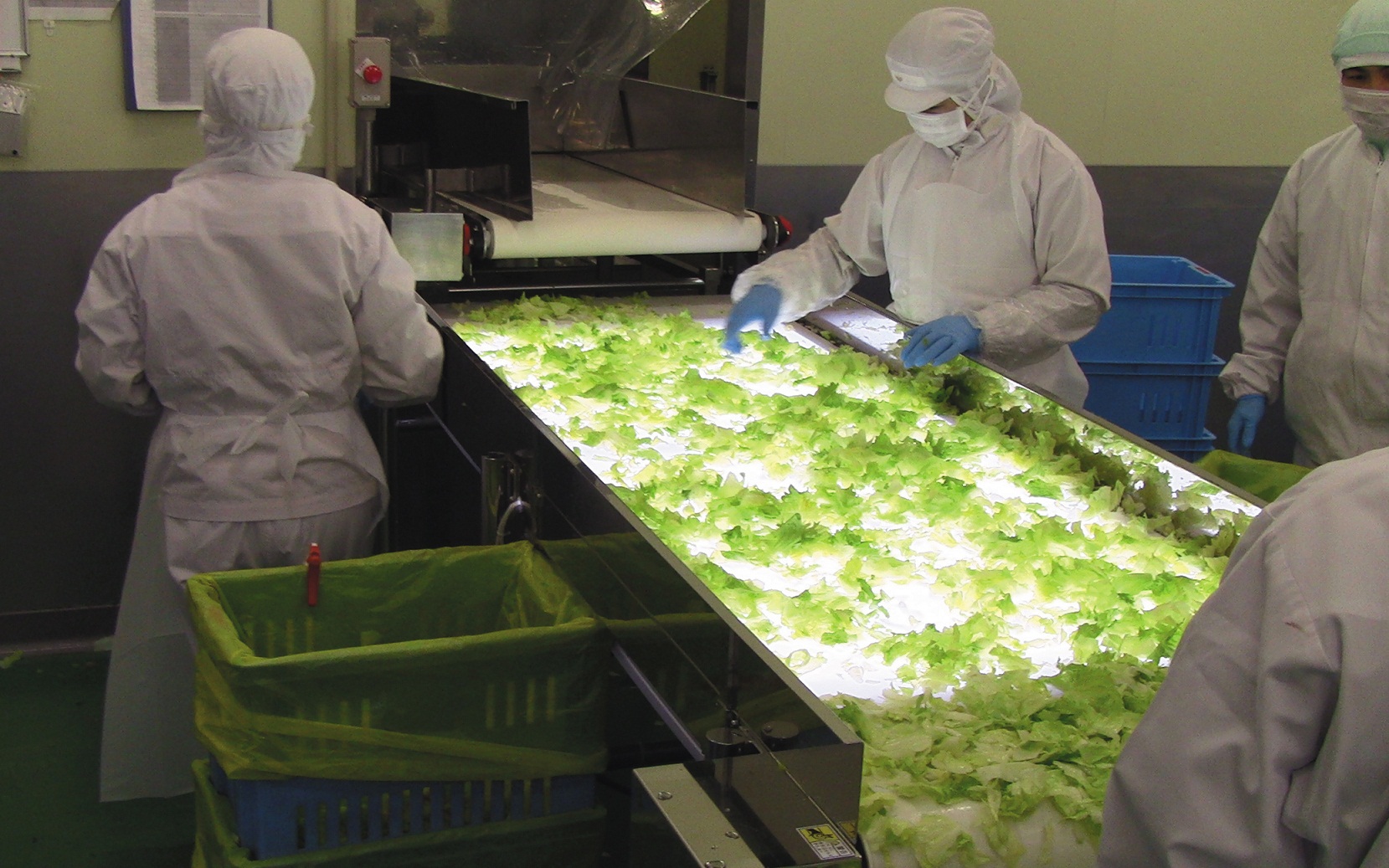 【食品工場や製薬工場の方へ】検品コンベア SUMCON MJ