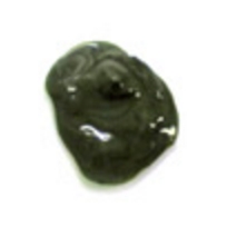 素材『COCO GREEN（ココグリーン）SS』