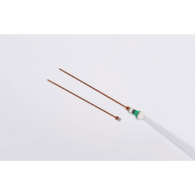 基礎代謝物質の濃度測定センサ B.IV4