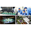 Futaba Electronics Industry Co., Ltd. Business Introduction