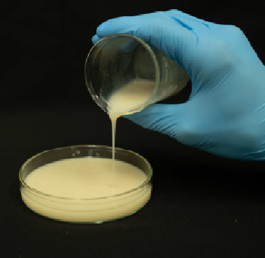 植物由来添加剤 バイオマスリキッド