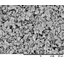 Silver nanoparticles 'LM1'