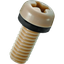 PEEK set screw