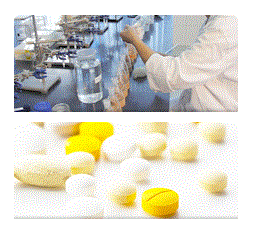 ジャパンローヤルゼリー株式会社　事業紹介