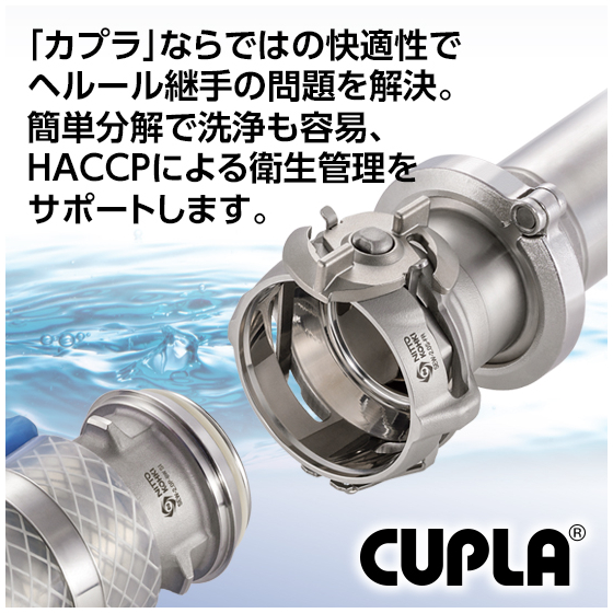 7_hygienic_cupla_550pix.jpg