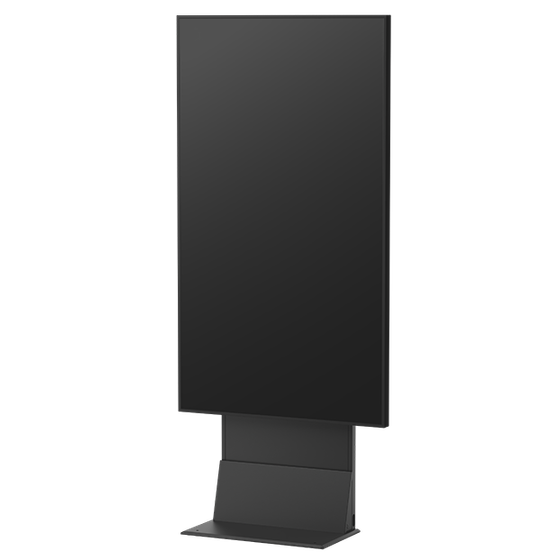 DS-WT60 (1).png