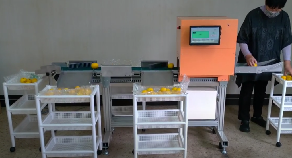 柚子用選果機『ベジソート』