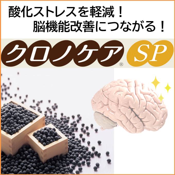 【脳機能改善作用に】脳と酸化ストレスの関係を詳しく解説！