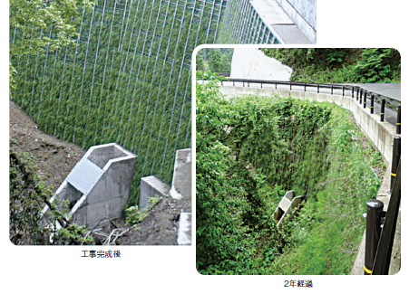 補強土壁 チェーンウォール工法