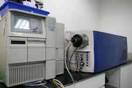 【受託サービス】バイオ医薬品（特にADC）の体内動態分析