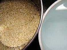 【動画解説付き事例】杏仁の搾汁・固液分離