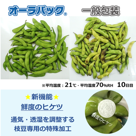 edamame.png
