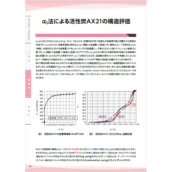 ?&alpha;S法による活性炭AX21 画像.png