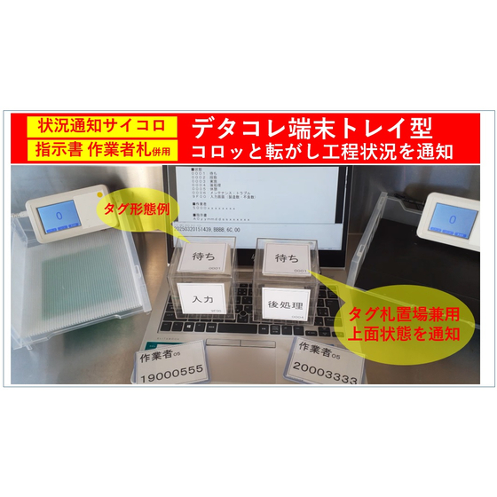 data-colle-HF-DiceTag-3_sam.jpg