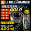 I will conduct a visit experiment with the LS Belhammer.