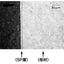 Nitrogen treatment of stainless steel is also effective as an alternative to plating processing.