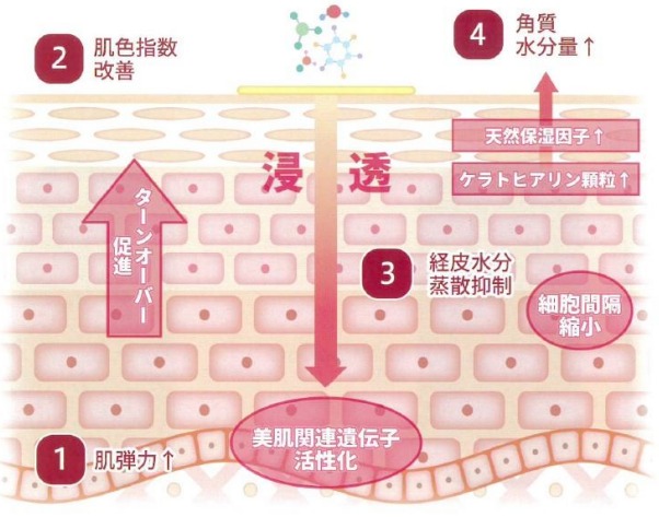 原料『玄米麹発酵エキス』