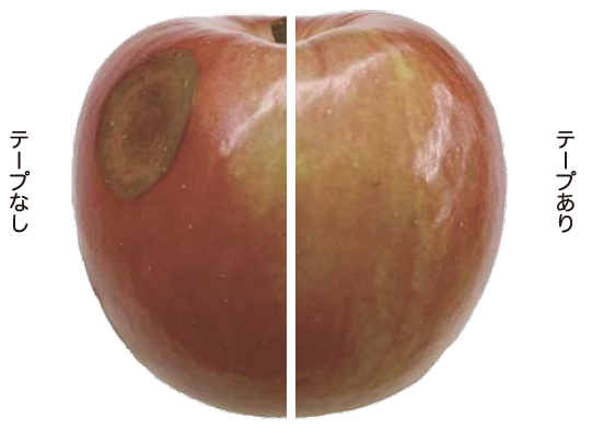 りんご まもる テープ
