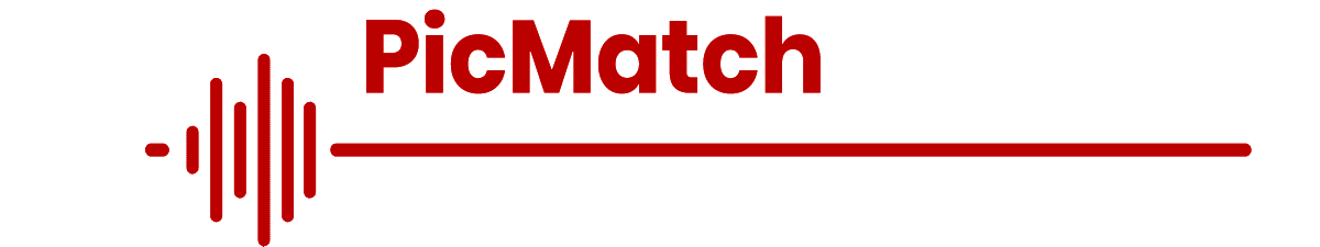 類似画像検索ソリューション『PicMatch』