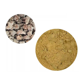 三七（田七人参）抽出物パウダー 健康食品・機能性原料
