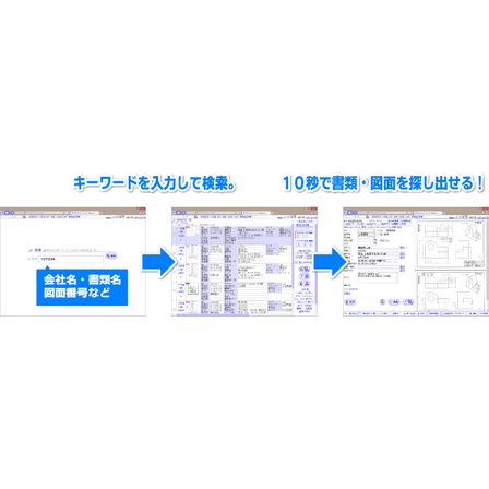 デジタルドルフィンズ.png