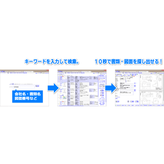 デジタルドルフィンズ.png