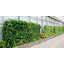 Wall Greening "D's Ecological Panel"